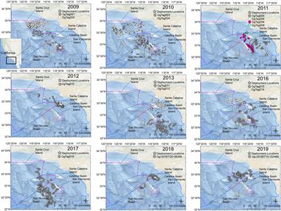 Movements and diving behavior of Risso’s dolphins in the Southern California Bight